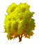 Drzewo
